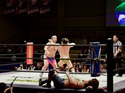 ꡼ No.012Υͥ / ηդʤۥnwm DOTSפϡ⤷ʤȤΤˤäɤʡ㤤ʪSurfer27